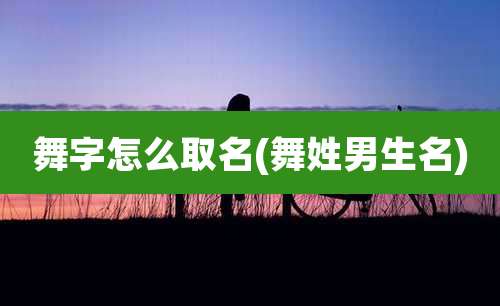 舞字怎么取名(舞姓男生名)