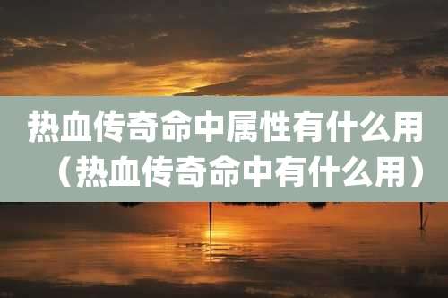 热血传奇命中属性有什么用(热血传奇命中有什么用)