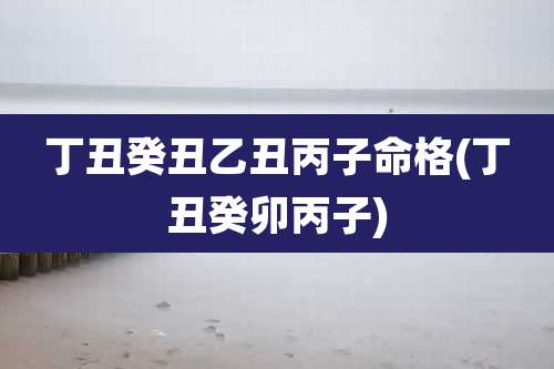 丁丑癸丑乙丑丙子命格(丁丑癸卯丙子)