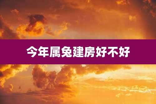 今年属兔建房好不好