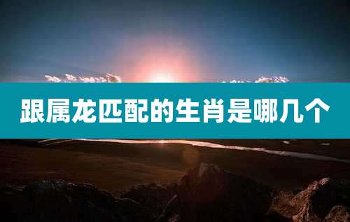 跟属龙匹配的生肖是哪几个