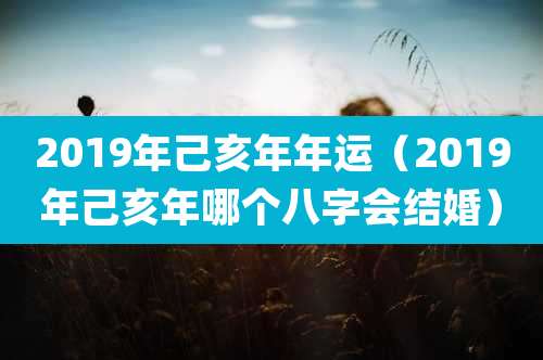 2019年己亥年年运（2019年己亥年哪个八字会结婚）