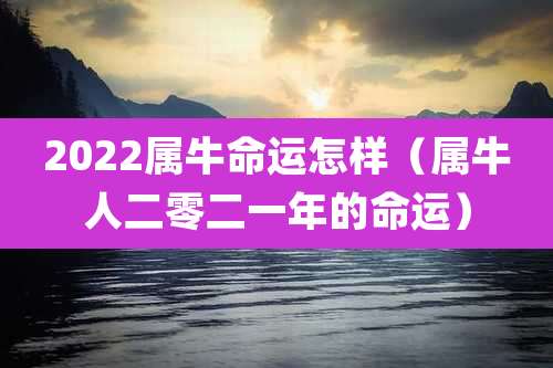 2022属牛命运怎样（属牛人二零二一年的命运）