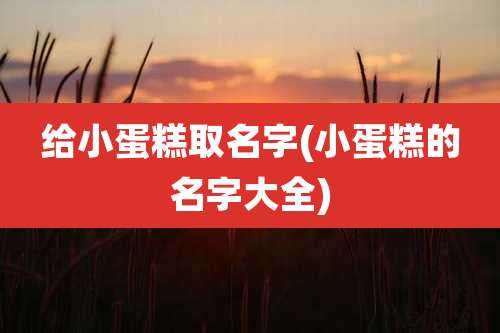 给小蛋糕取名字(小蛋糕的名字大全)