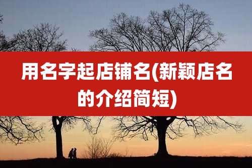 用名字起店铺名(新颖店名的介绍简短)