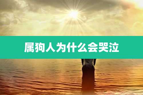 属狗人为什么会哭泣