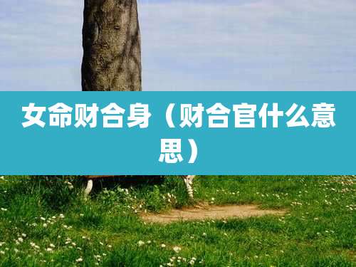 女命财合身（财合官什么意思）