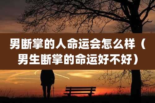 男断掌的人命运会怎么样（男生断掌的命运好不好）