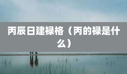 丙辰日建禄格（丙的禄是什么）