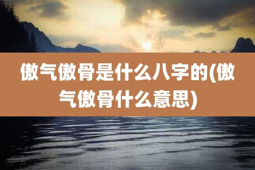 傲气傲骨是什么八字的(傲气傲骨什么意思)