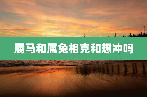 属马和属兔相克和想冲吗