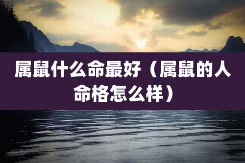 属鼠什么命最好（属鼠的人命格怎么样）