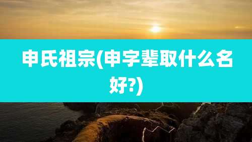 申氏祖宗(申字辈取什么名好?)