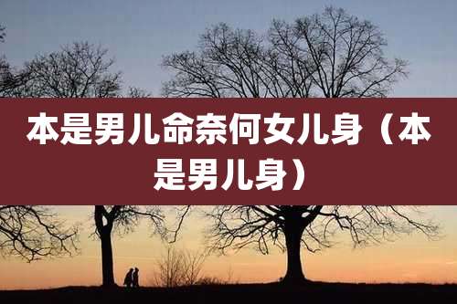 本是男儿命奈何女儿身（本是男儿身）