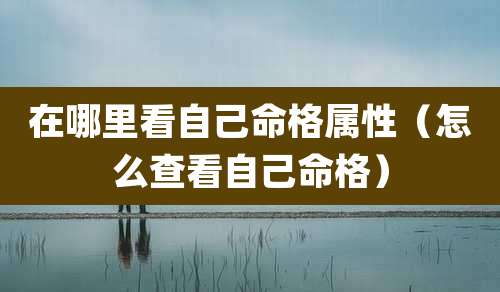 在哪里看自己命格属性（怎么查看自己命格）
