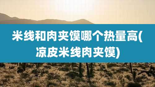 米线和肉夹馍哪个热量高(凉皮米线肉夹馍)