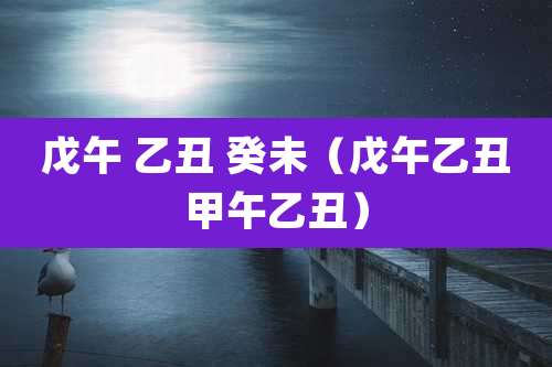 戊午 乙丑 癸未（戊午乙丑甲午乙丑）
