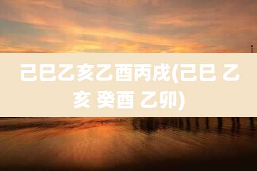 己巳乙亥乙酉丙戌(己巳 乙亥 癸酉 乙卯)