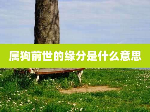 属狗前世的缘分是什么意思