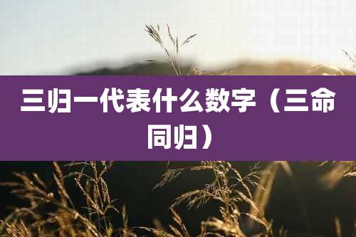 三归一代表什么数字（三命同归）