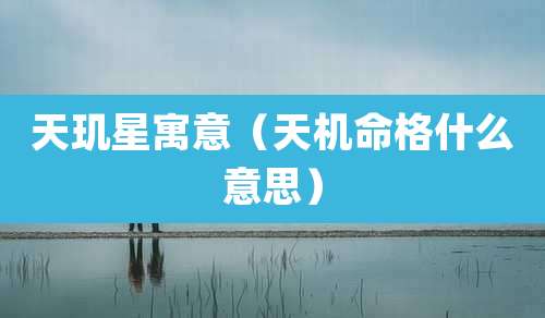 天玑星寓意(天机命格什么意思)