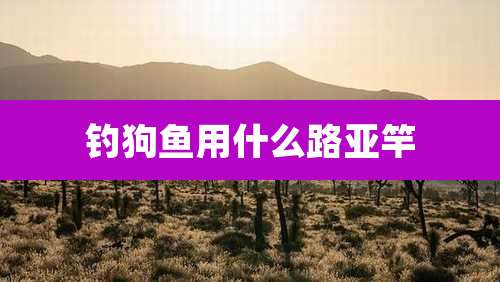 钓狗鱼用什么路亚竿