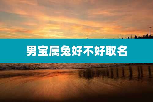 男宝属兔好不好取名