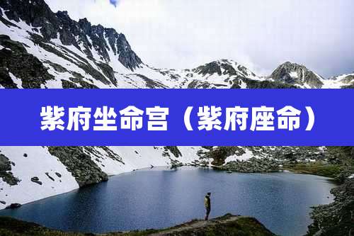 紫府坐命宫(紫府座命)