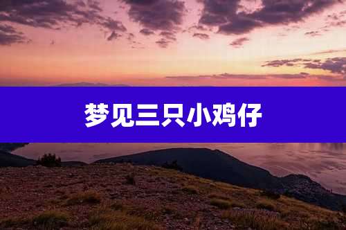 梦见三只小鸡仔