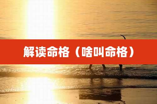 解读命格(啥叫命格)