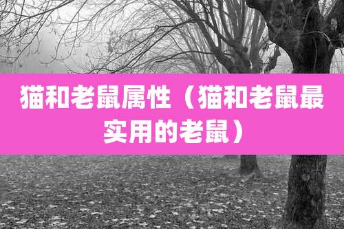 猫和老鼠属性（猫和老鼠最实用的老鼠）