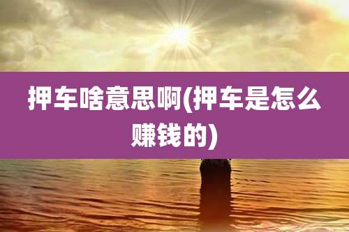 押车啥意思啊(押车是怎么赚钱的)