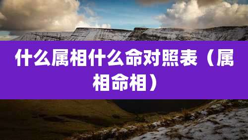 什么属相什么命对照表（属相命相）