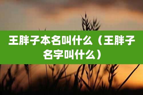 王胖子本名叫什么（王胖子名字叫什么）