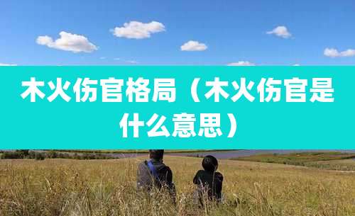 木火伤官格局（木火伤官是什么意思）