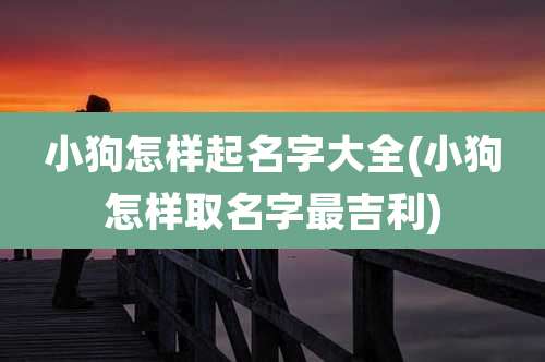 小狗怎样起名字大全(小狗怎样取名字最吉利)