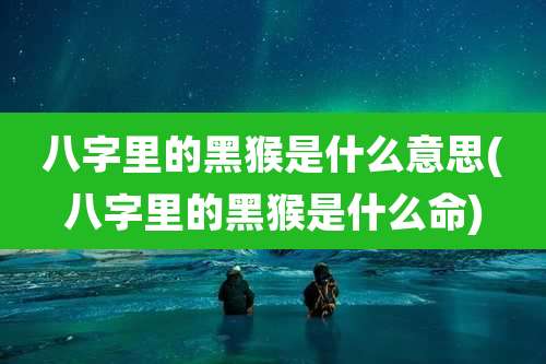 八字里的黑猴是什么意思(八字里的黑猴是什么命)