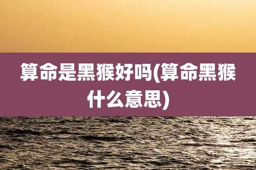 算命是黑猴好吗(算命黑猴什么意思)