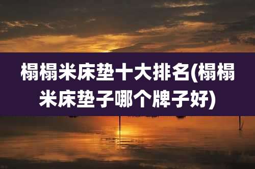 榻榻米床垫十大排名(榻榻米床垫子哪个牌子好)