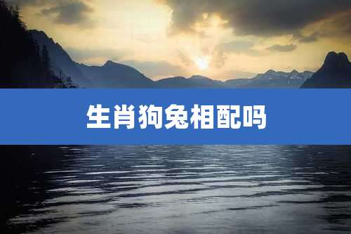 生肖狗兔相配吗