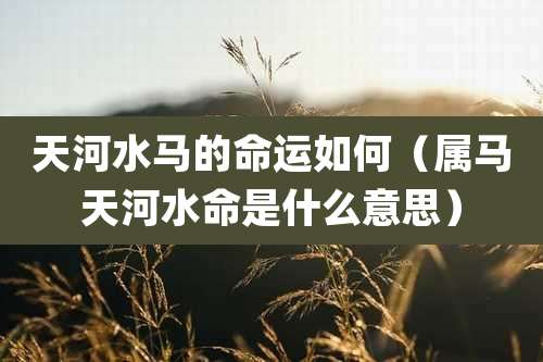 天河水马的命运如何（属马天河水命是什么意思）