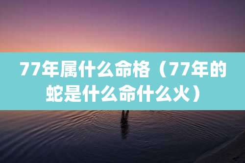 77年属什么命格（77年的蛇是什么命什么火）