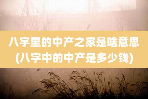 八字里的中产之家是啥意思(八字中的中产是多少钱)