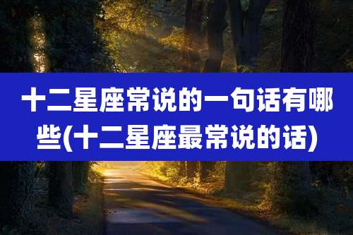 十二星座常说的一句话有哪些(十二星座最常说的话)