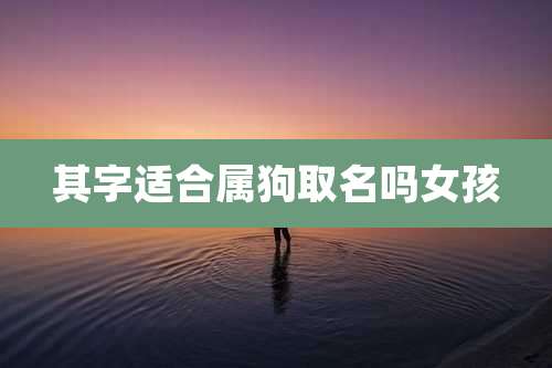 其字适合属狗取名吗女孩