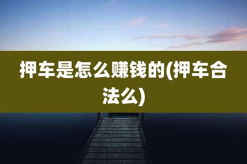 押车是怎么赚钱的(押车合法么)