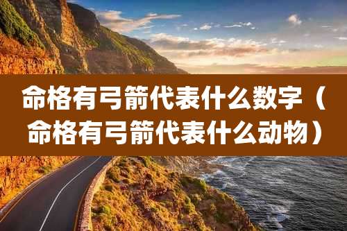 命格有弓箭代表什么数字（命格有弓箭代表什么动物）