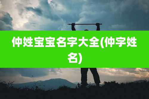 仲姓宝宝名字大全(仲字姓名)
