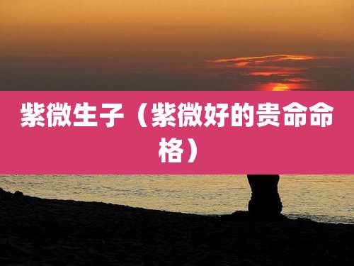 紫微生子（紫微好的贵命命格）