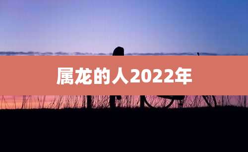 属龙的人2022年